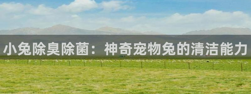 凯时最新官方APP下载