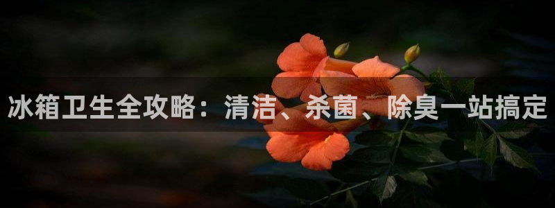 尊龙凯时是直营吗