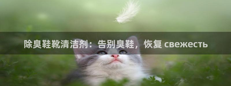尊龙凯时网站首页手机登录：除臭鞋靴清洁剂：告别臭鞋，恢复