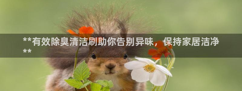 尊龙凯时是哪个国家的