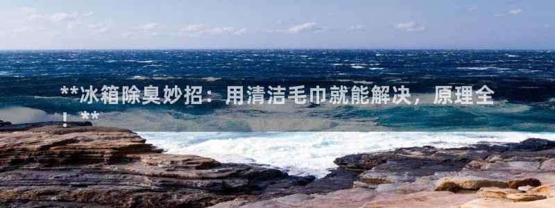 尊龙人生就是博旧：**冰箱除臭妙招：用清洁毛巾就能解决，