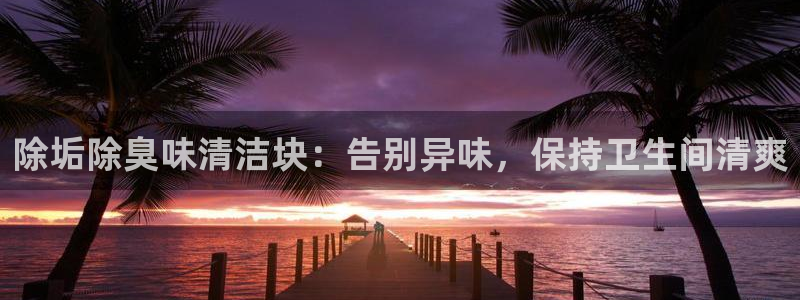 尊龙官网免费下载：除垢除臭味清洁块：告别异味，保持卫生间