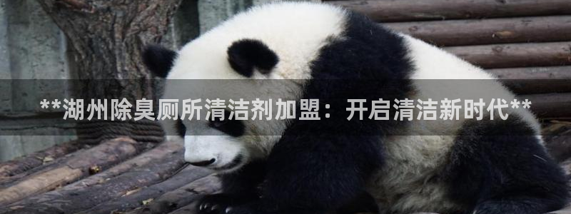 尊龙AG旗舰厅官网