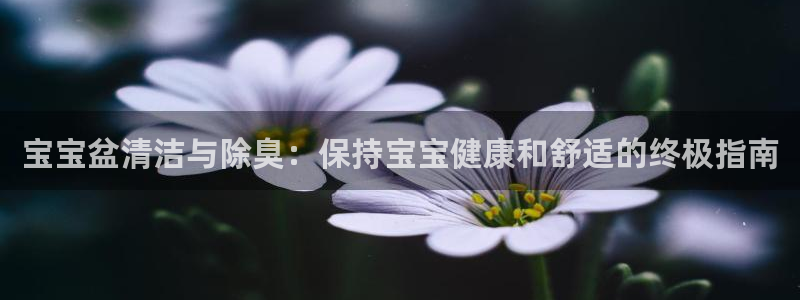 Z6尊龙老版：宝宝盆清洁与除臭：保持宝宝健康和舒适的终极