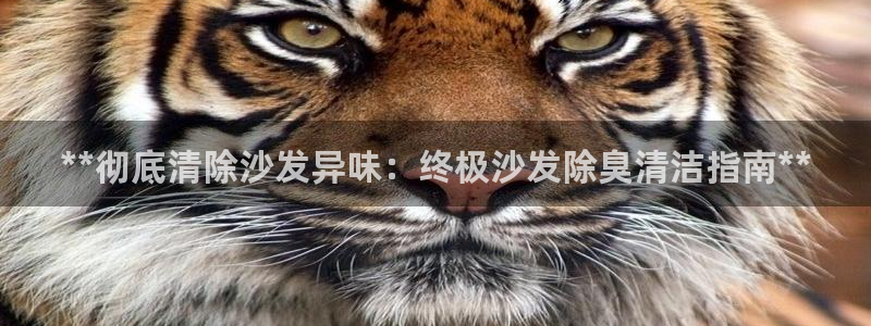 尊龙手机客户端app