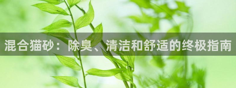 国际凯时ag优质运营商