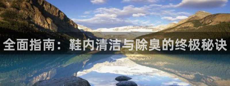 AG尊龙登陆网址：全面指南：鞋内清洁与除臭的终极秘诀