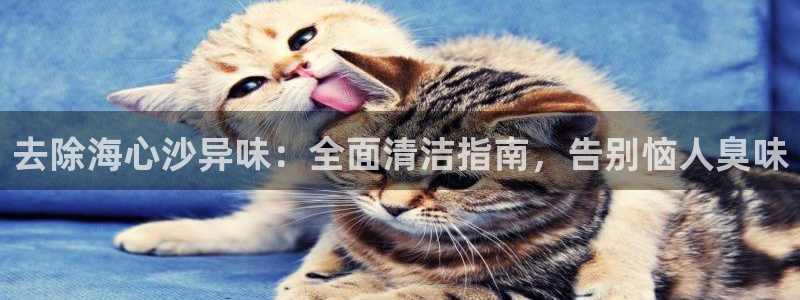 尊龙人生就是博登录：去除海心沙异味：全面清洁指南，告别恼