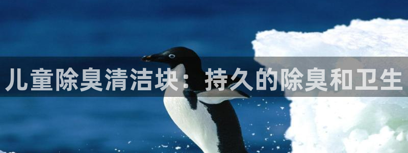 z6com尊龙凯时代理