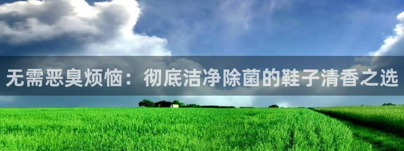 尊龙凯时城游戏官网：无需恶臭烦恼：彻底洁净除菌的鞋子清香