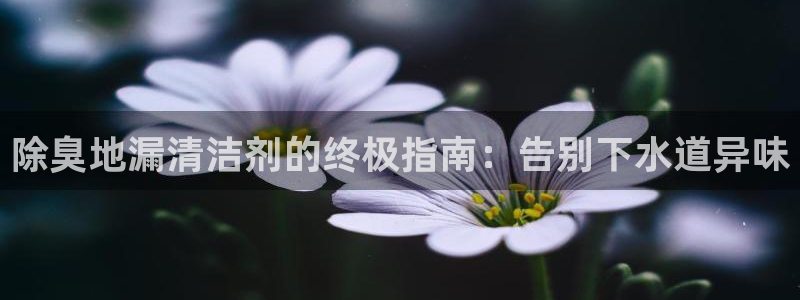 尊龙凯时人生就博：除臭地漏清洁剂的终极指南：告别下水道异