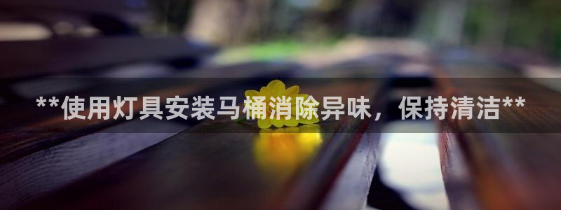 尊龙凯时 人生就是搏!：**使用灯具安装马桶消除异味，保