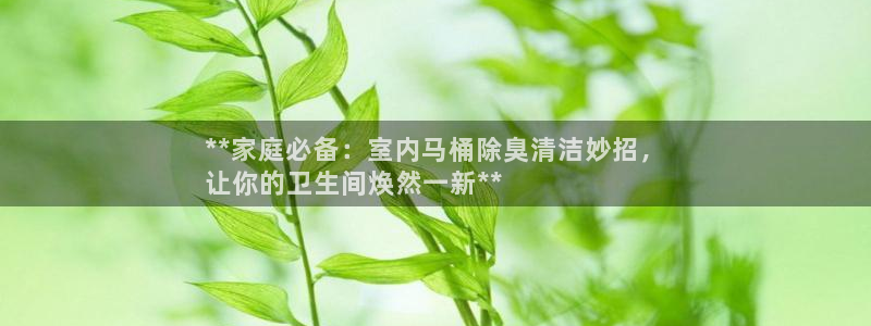 z6尊龙官网：**家庭必备：室内马桶除臭清洁妙招，
让你