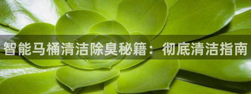 尊龙现金一下指导AG发财网：智能马桶清洁除臭秘籍：彻底清