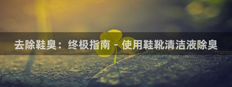 尊龙d88官网赢来就送38：去除鞋臭：终极指南 - 使用