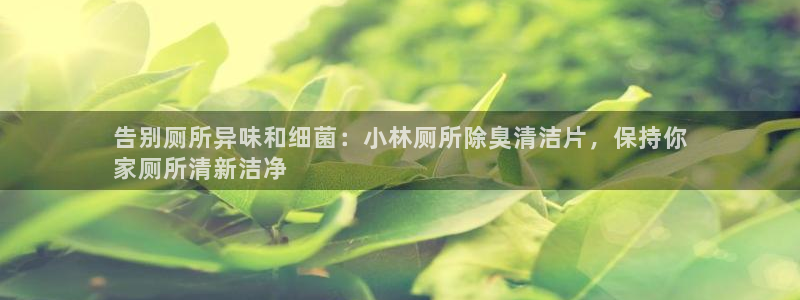 尊龙凯时老板