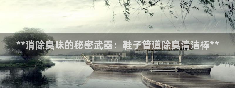 尊龙凯时企业文化：**消除臭味的秘密武器：鞋子管道除臭清