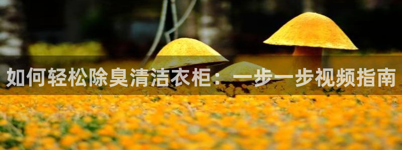 尊龙平台有谁玩过