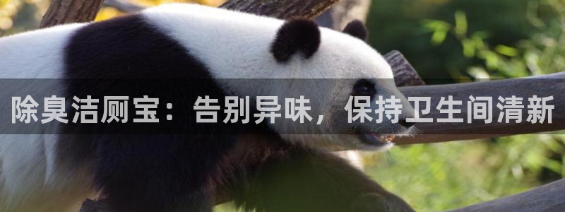 d88尊龙手机登录下载：除臭洁厕宝：告别异味，保持卫生间