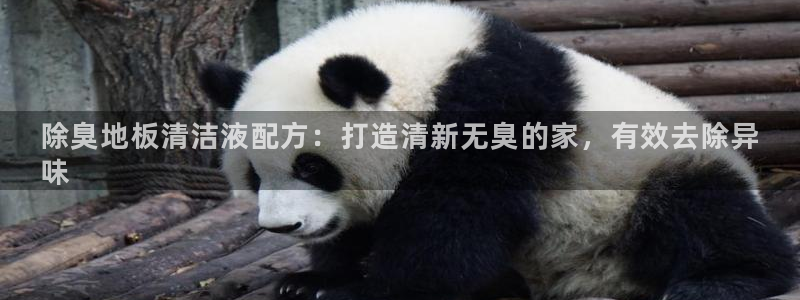 尊龙凯时下载官方正版：除臭地板清洁液配方：打造清新无臭的