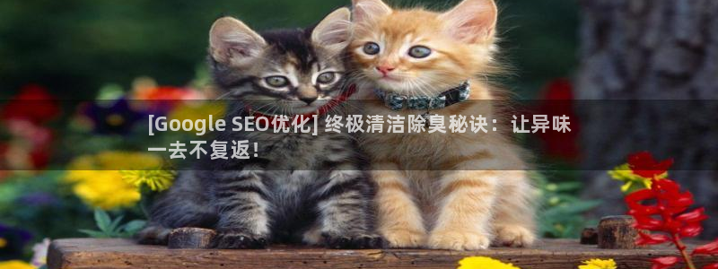 旧版尊龙人生就是博下载：[Google SEO优化] 终