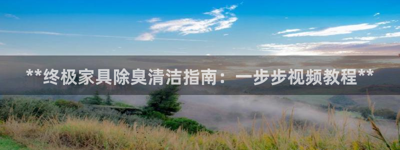 尊龙凯时麻将胡了：**终极家具除臭清洁指南：一步步视频教