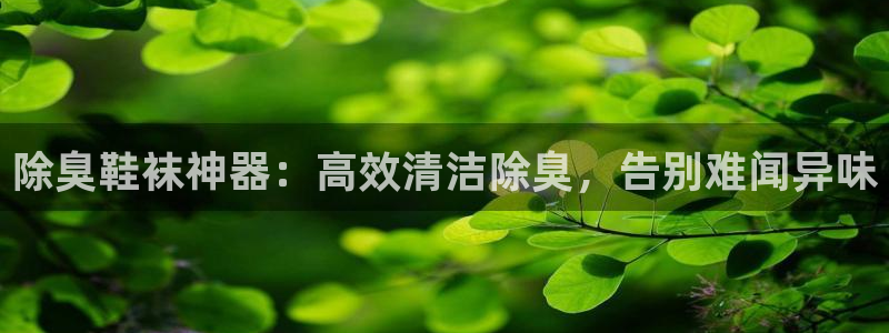 尊龙用现金娱乐一下下载旧：除臭鞋袜神器：高效清洁除臭，告