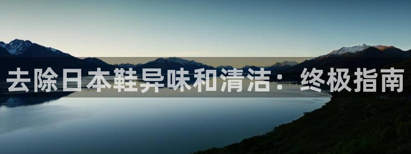尊龙人生就是博管网：去除日本鞋异味和清洁：终极指南