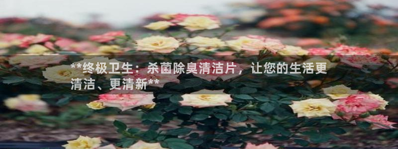 尊龙凯时有限公司