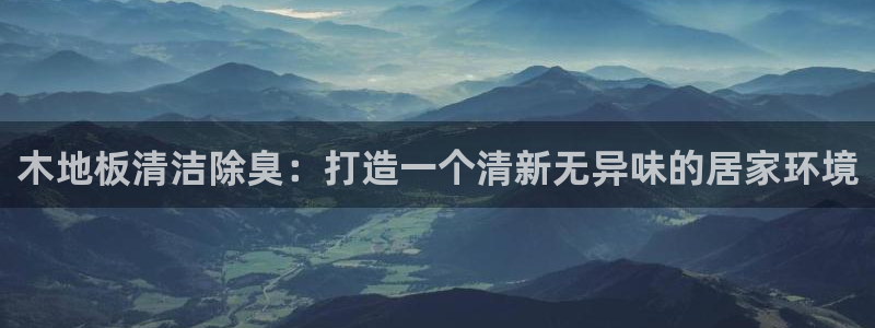 尊龙凯时ag旗舰厅官网客服：木地板清洁除臭：打造一个清新