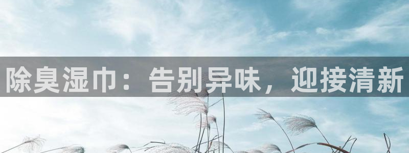 下载尊龙：除臭湿巾：告别异味，迎接清新