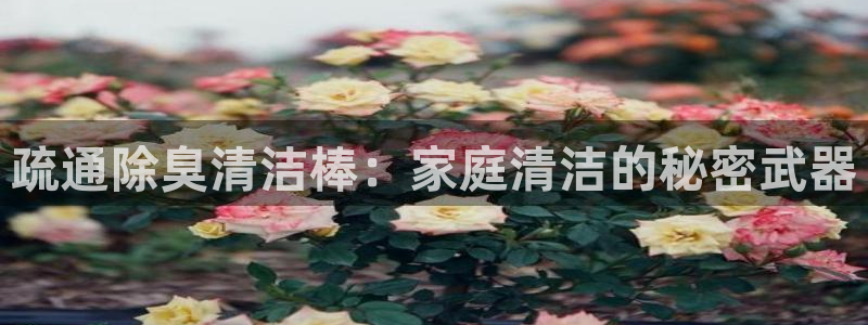 尊龙官网登录·(中国)官方网站-bd SPORTS：疏通