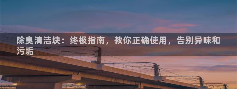 尊龙人生就是博：除臭清洁块：终极指南，教你正确使用，告别