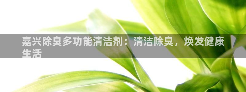 z6尊龙凯时旗