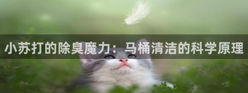 尊龙凯时人生就是搏首页：小苏打的除臭魔力：马桶清洁的科学