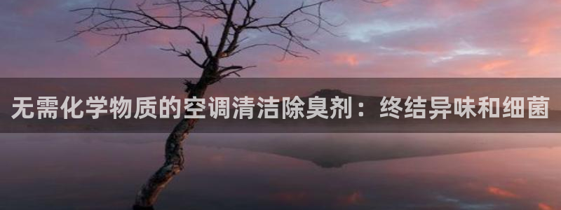 尊龙登录首页：无需化学物质的空调清洁除臭剂：终结异味和细