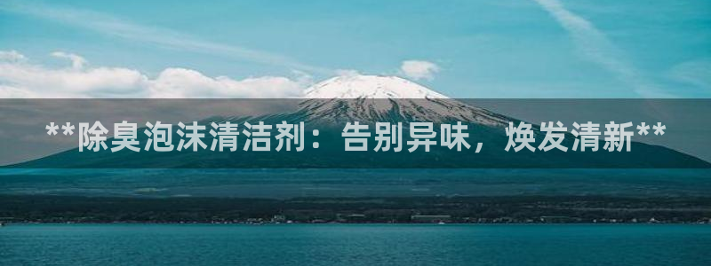 尊龙凯时app官方网站：**除臭泡沫清洁剂：告别异味，焕