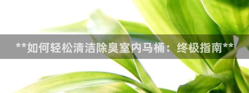尊龙凯时和九游会哪个平台好一点：**如何轻松清洁除臭室内
