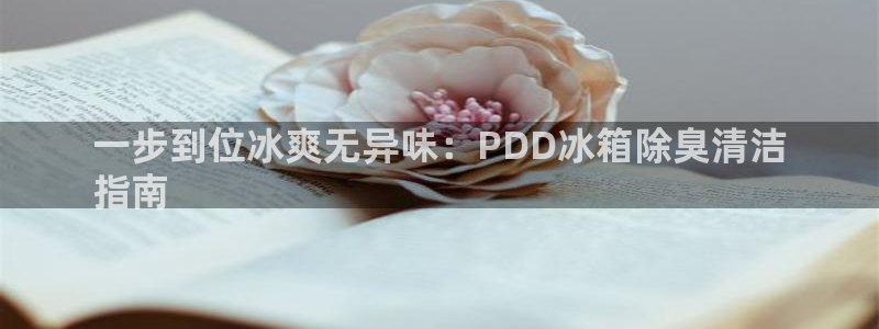 尊龙app下载官网：一步到位冰爽无异味：PDD冰箱除臭清