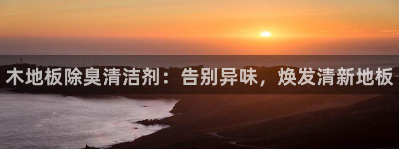 尊龙官方网址：木地板除臭清洁剂：告别异味，焕发清新地板