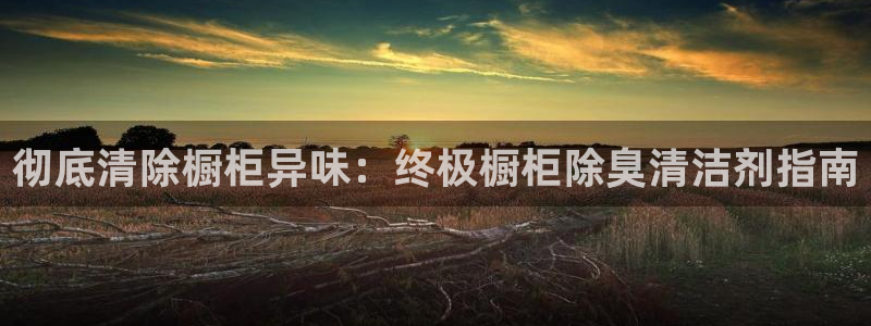 尊龙凯时几百万怎么下款：彻底清除橱柜异味：终极橱柜除臭清