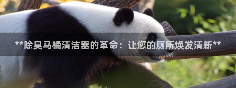 尊龙凯时代理官网入口：**除臭马桶清洁器的革命：让您的厕