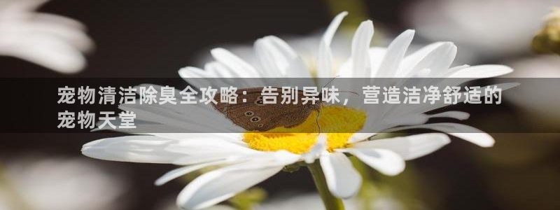 凯时国际app首页登录：宠物清洁除臭全攻略：告别异味，营