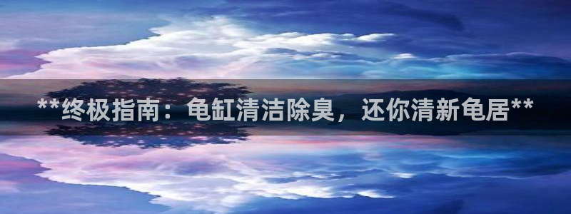 尊龙凯时·中国官方网站：**终极指南：龟缸清洁除臭，还你