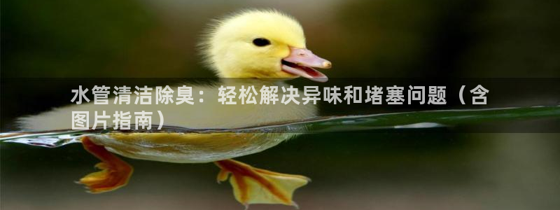 新版尊龙99