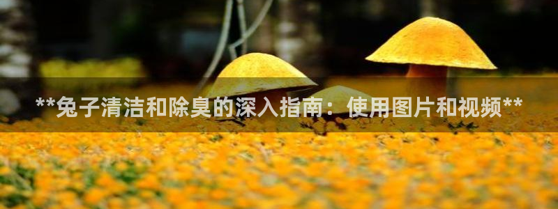 尊龙手机官方客户端下载安装：**兔子清洁和除臭的深入指南