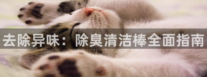 尊龙最经典的三个角色