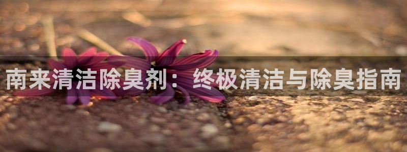 尊龙得过奥斯卡吗：南来清洁除臭剂：终极清洁与除臭指南