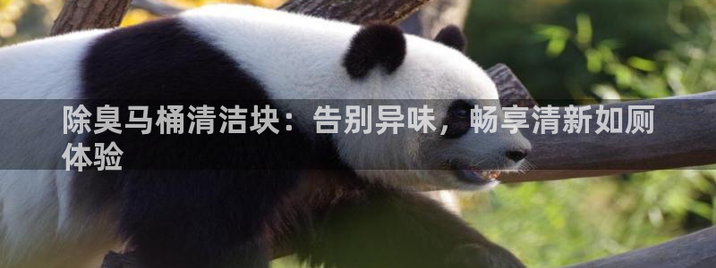 尊龙凯时口碑好吗