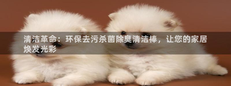 尊龙网址是多少：清洁革命：环保去污杀菌除臭清洁棒，让您的